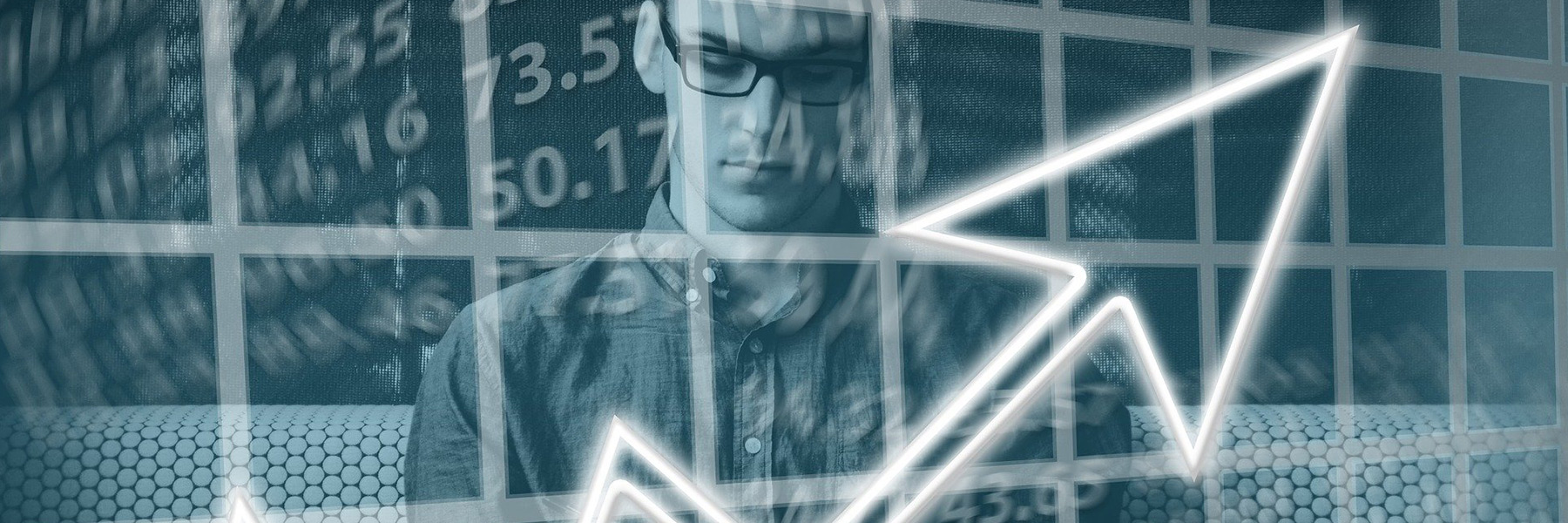 Cele programu IDUB
